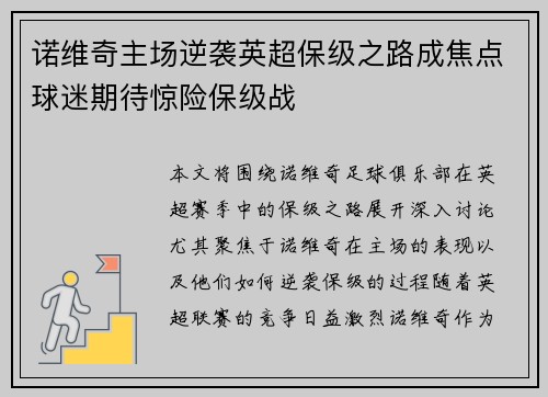 诺维奇主场逆袭英超保级之路成焦点球迷期待惊险保级战